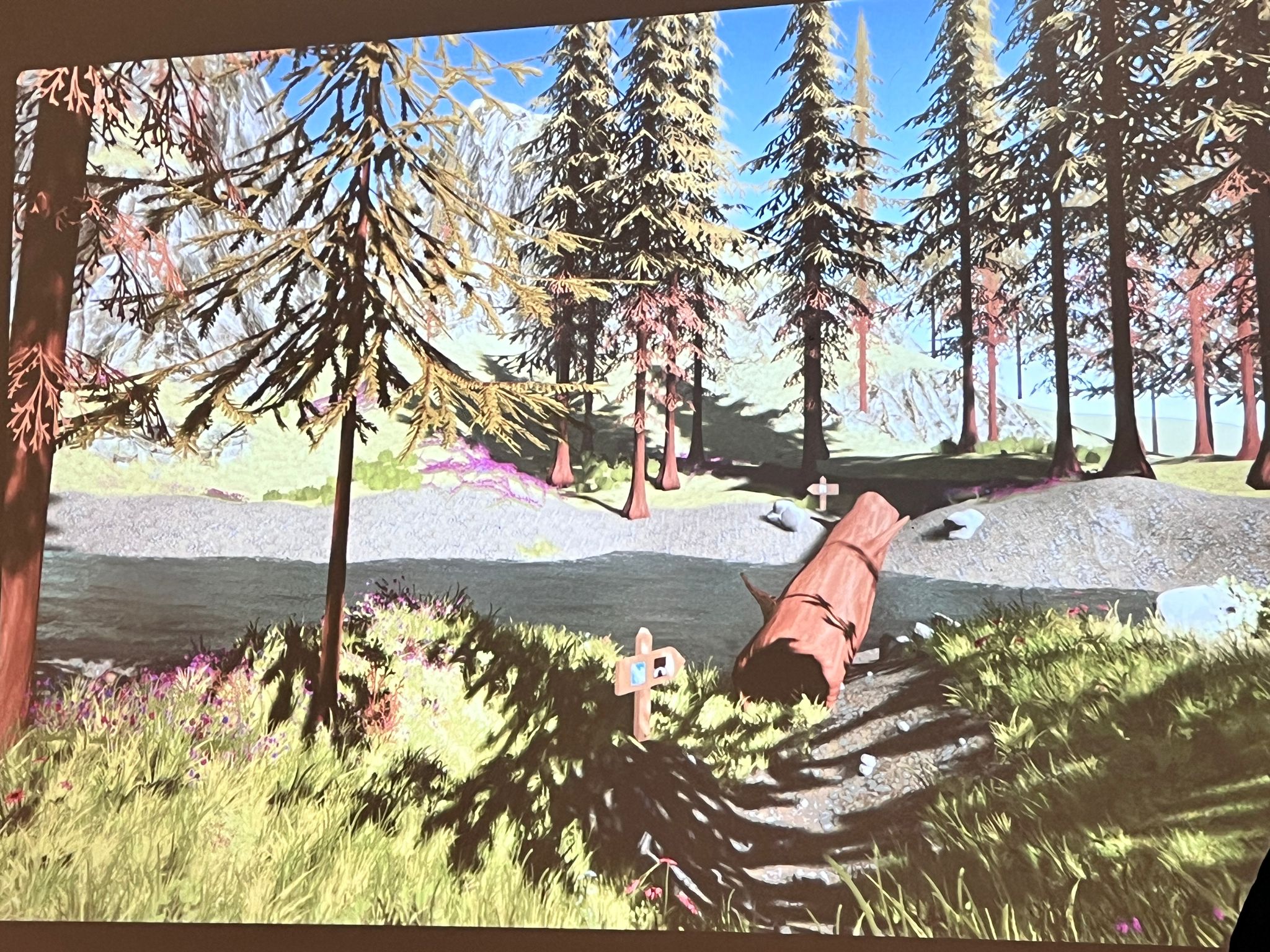 Exhibition placeholder